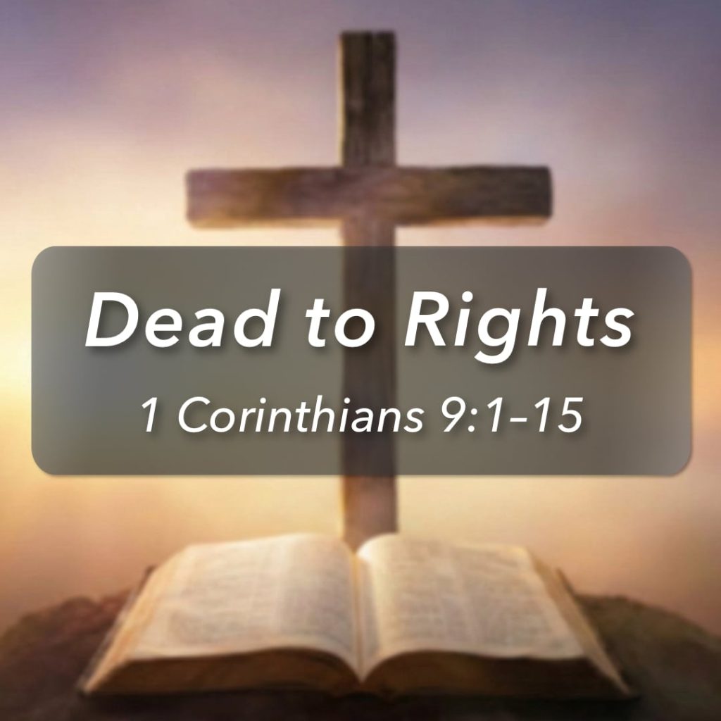 Dead to Rights, Part 3