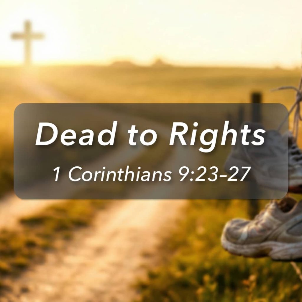 Dead to Rights, Part 5