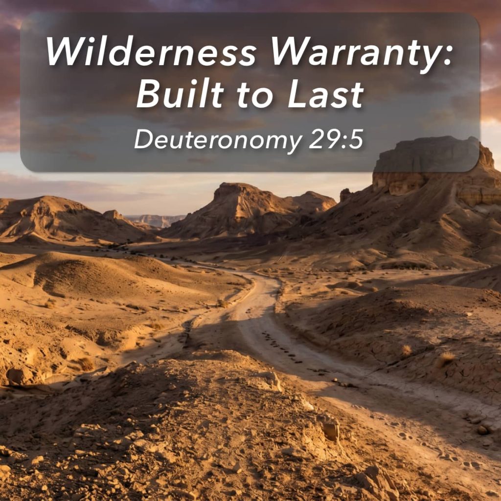 Wilderness Warranty: Built to Last episode artwork