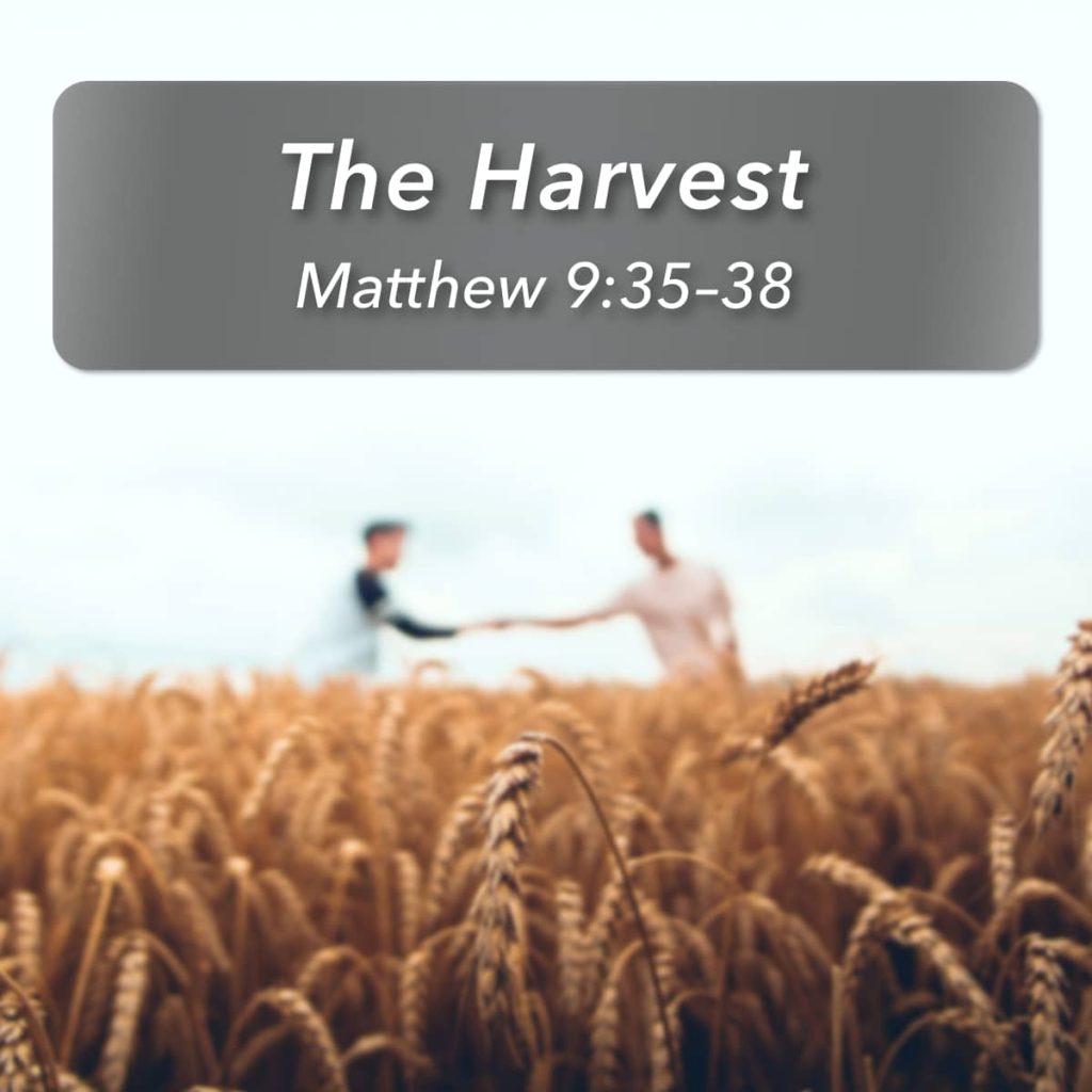 The Harvest episode artwork